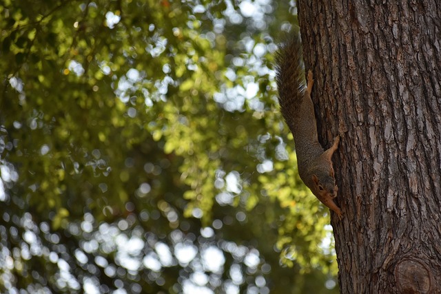 再次提醒摔 再次提醒摔