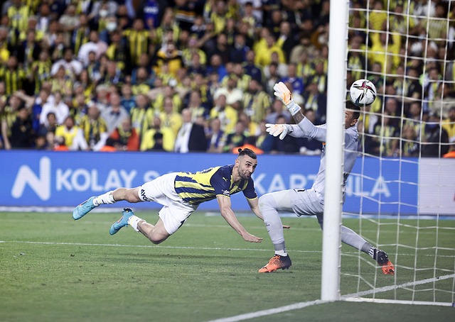 籍教头以其 籍教头以其