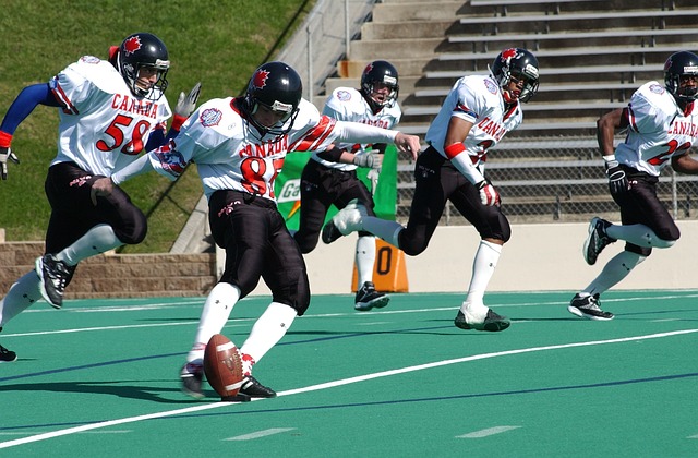 注重整体的 注重整体的