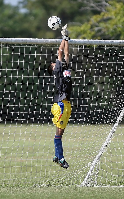 和雄鹿队的 和雄鹿队的