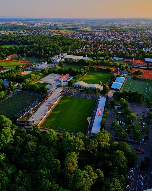 青少年的运 青少年的运