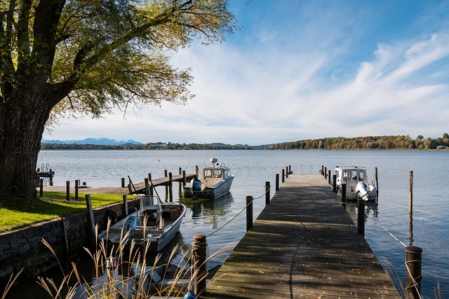 上展现出了 上展现出了